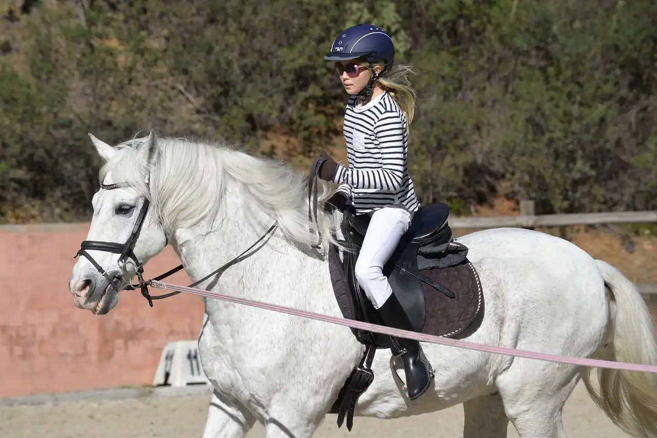 Best Equestrian Courses for 2025