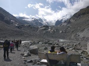 Gaia Changemakers Program