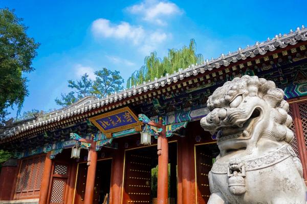 Chinese Perspectives on International and Global Affairs with Peking University Summer School International