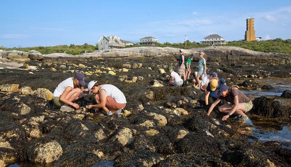Marine Environmental Science with Shoals Marine Laboratory