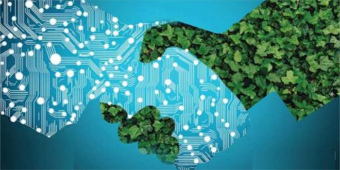 Digitalisation and Sustainability with Estonian Business School