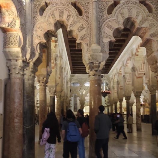 Spanish Language and Andalucian Culture Summer Program