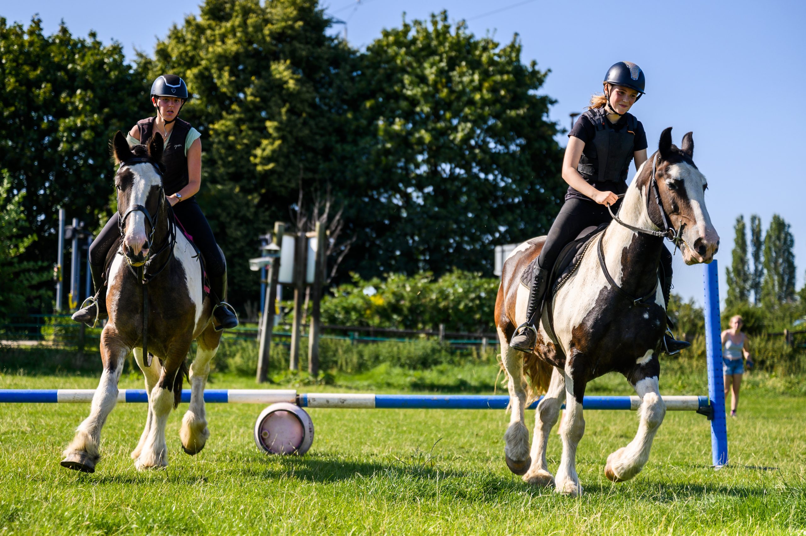 Horse riding and English Language Learning